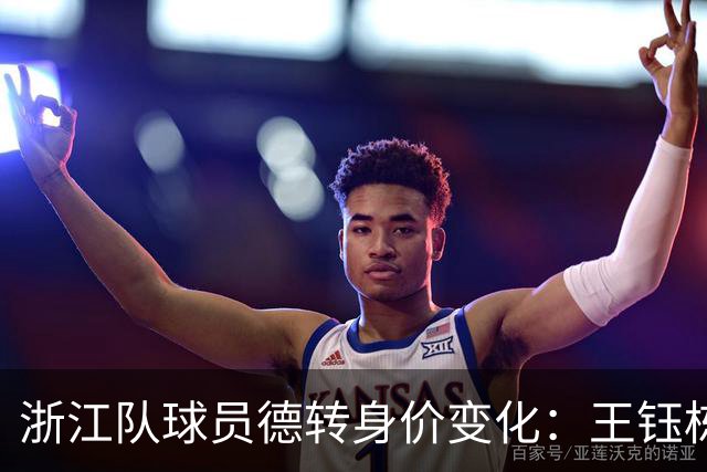 浙江队球员德转身价变化：王钰栋等4人身价上升，9人身价下降
